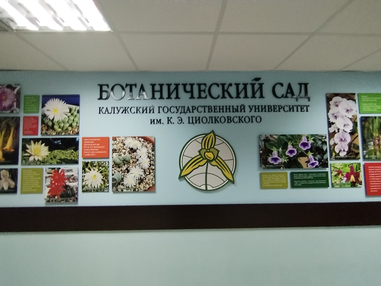 КАНИКУЛЫ - ВРЕМЯ АКТИВНОГО ОТДЫХА!.